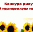 В Ключевском районе конкурс рисунков «Мой подсолнушек среди подсолнушков». - Ключевский район