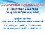 В Ключевском районе проходит досрочное голосование.