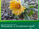 МЧС информирует.