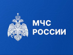 Вырастить, собрать, сохранить.