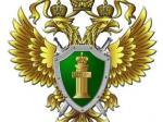 Ответственность за незаконный оборот электронных средств платежа.